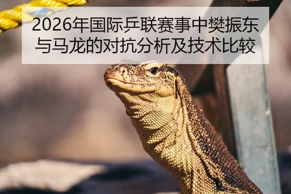 2026年国际乒联赛事中樊振东与马龙的对抗分析及技术比较