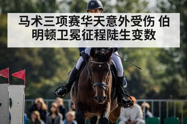 马术三项赛华天意外受伤 伯明顿卫冕征程陡生变数